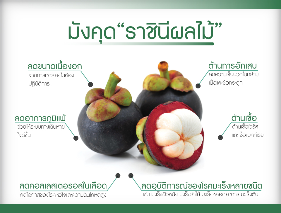 มังคุด  ราชินีผลไม้ไทย 