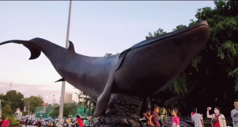วาฬใหญ่'สุราษฎร์