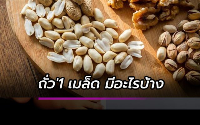 ถั่ว 1 เมล็ด มีอะไรบ้าง