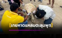 เต่าตนุเกยหาดแหลมตะลุมพุก