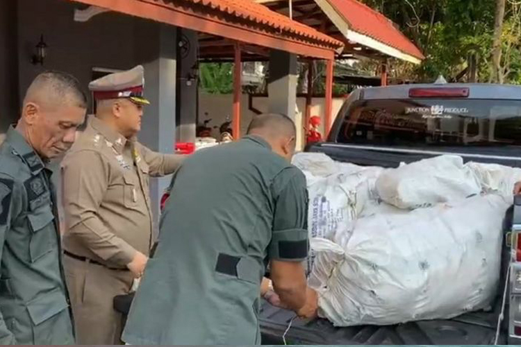 รวบ 2หนุ่มสงขลา ขนใบกระท่อมเข้าภูเก็ต