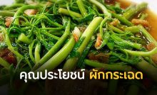 ผักกระเฉด