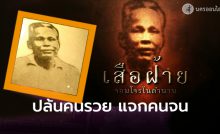 เสือฝ้าย