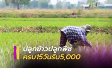 ชาวนา-เกษตรกร ปลูกข้าวปลูกพืชครบ 15 วัน ถือคุณสมบัติครบ รับ5,000