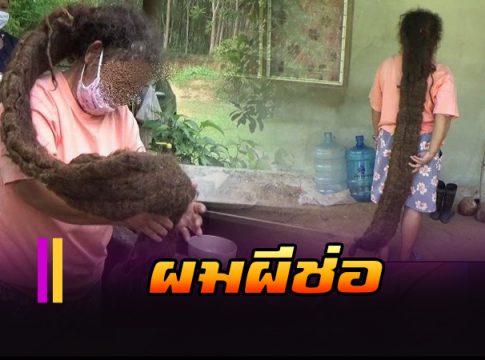 ผมผีช่อ
