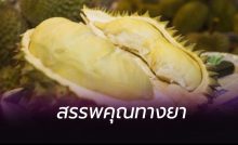 ทุเรียน มีสรรพคุณทางยา