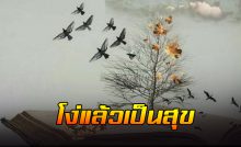 โง่แล้วเป็นสุข