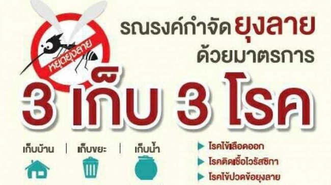 3 เก็บ ป้องกัน 3โรค ไข้เลือดออก