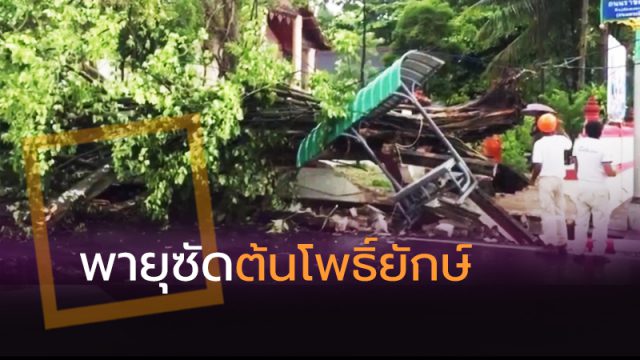 ต้นโพธิ์ยักษ์