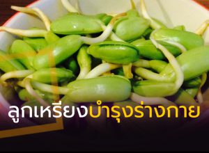 ลูกเหรียงบำรุงร่างกาย