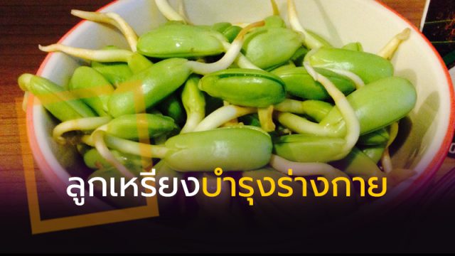 ลูกเหรียงบำรุงร่างกาย