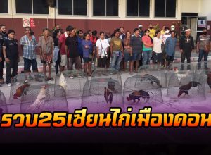 รวบ25เซียนไก่เมืองคอน