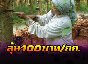 ลุ้นพุ่งแตะ 100 บาท/กก.