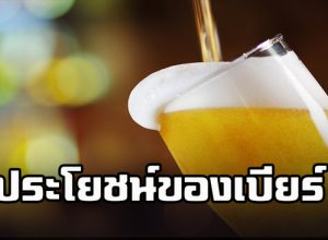 ประโยชน์ของเบียร์