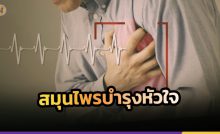 สมุนไพรบำรุงหัวใจ