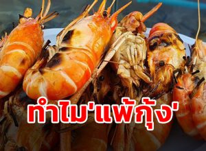 แพ้กุ้ง