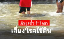 โรคไข้ดิน