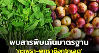 สุ่มตรวจผักและผลไม้ 15 ชนิด พบ ‘กะเพรา-พุทราช๊อกโกเลต’ มีสารพิษตกค้างมากสุด
