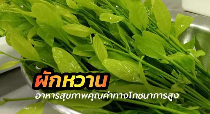 ผักหวานป่า อาหารสุขภาพ คุณค่าทางโภชนาการสูง